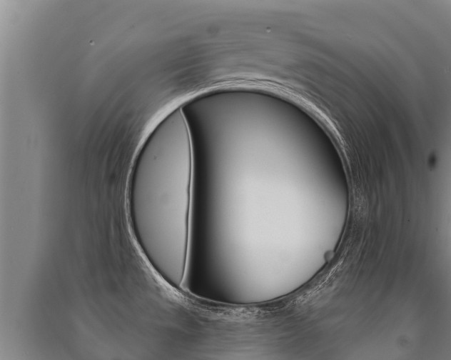 X0000091471533200708161117