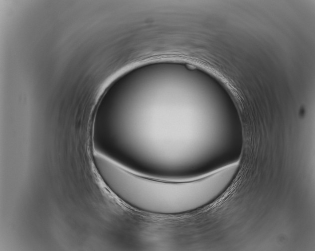 X0000091471534200708161117