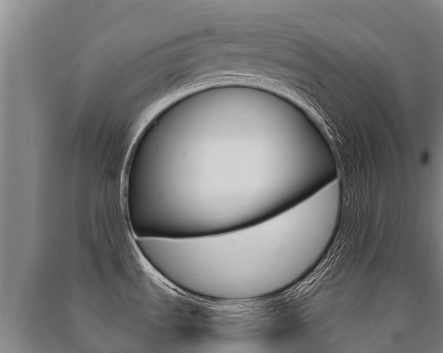 X0000091471535200708161117