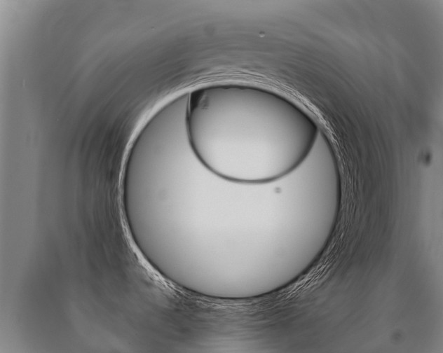 X0000091471536200708161117