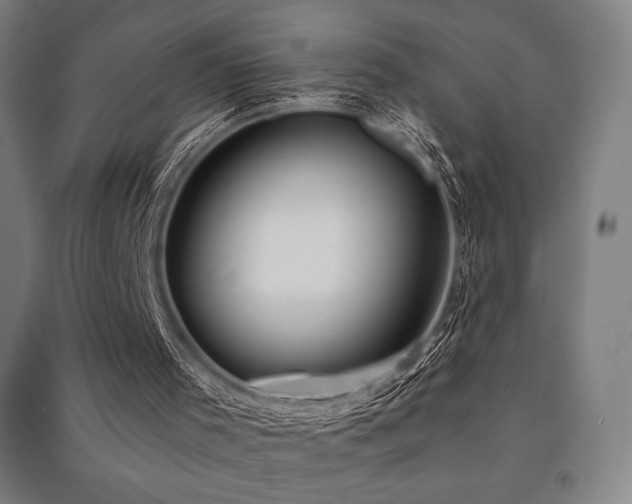 X0000091470001200708161408