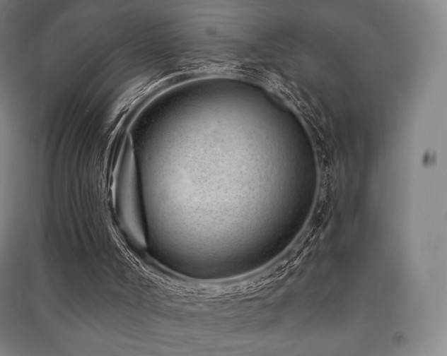 X0000091470002200708161408