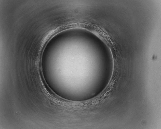 X0000091470003200708161408