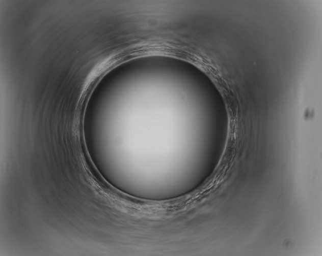 X0000091470004200708161408