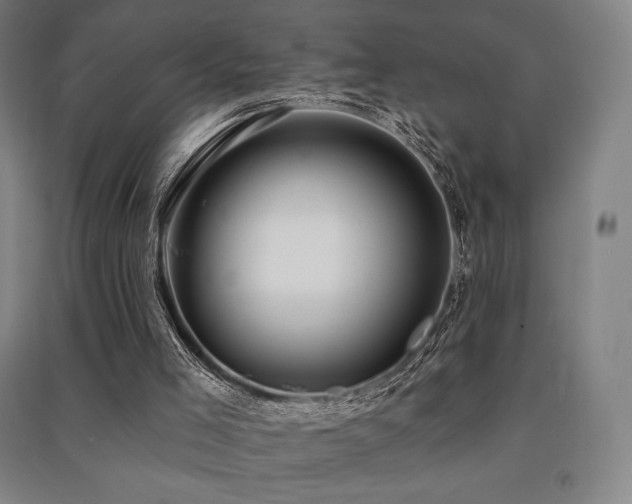 X0000091470005200708161408