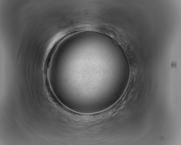 X0000091470006200708161408