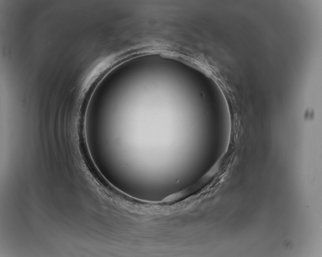 X0000091470007200708161408