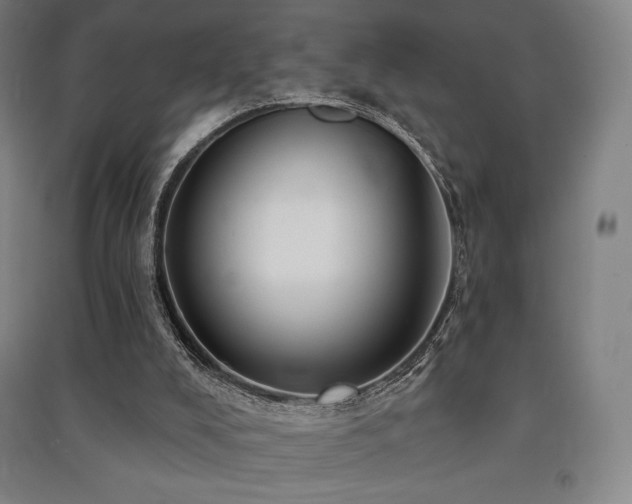 X0000091470008200708161408