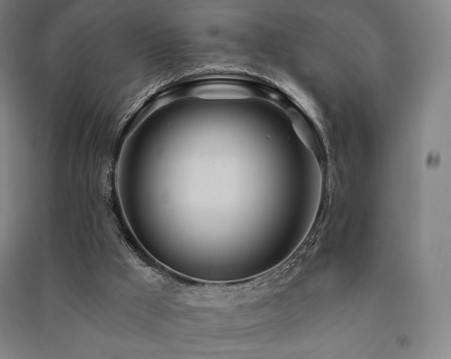 X0000091470009200708161408