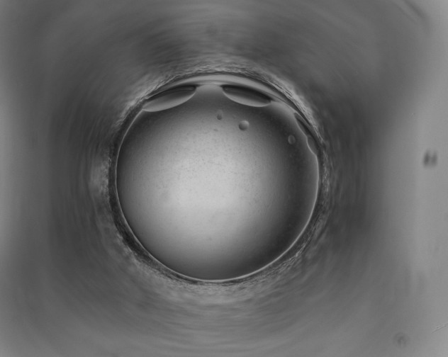 X0000091470010200708161408