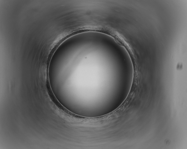 X0000091470011200708161408