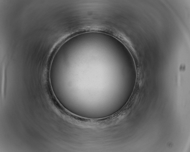 X0000091470012200708161408