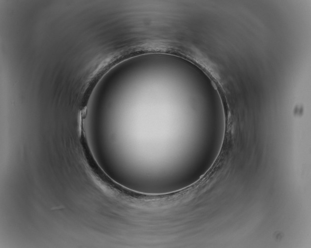 X0000091470013200708161408