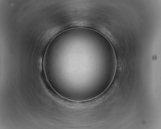 X0000091470014200708161408