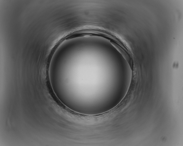 X0000091470015200708161408