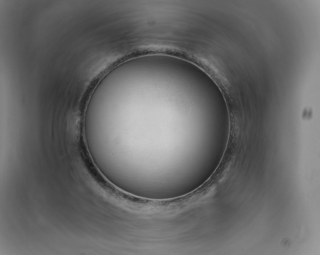 X0000091470016200708161408