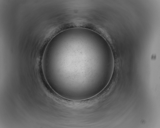 X0000091470018200708161408