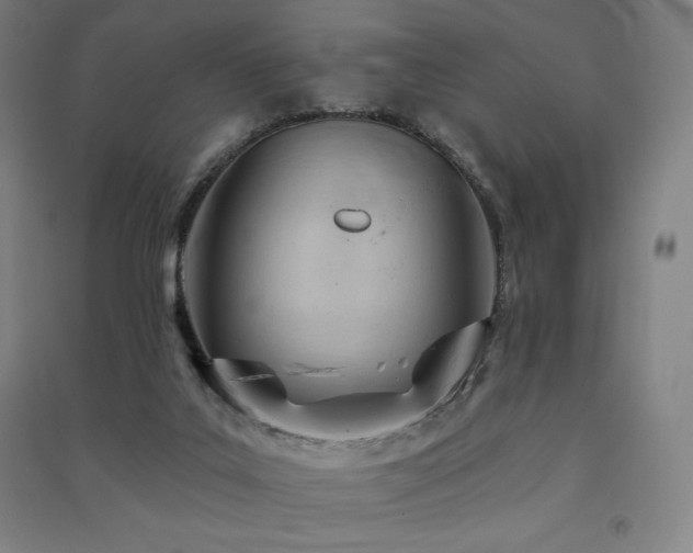 X0000091470019200708161408