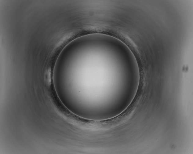 X0000091470020200708161408