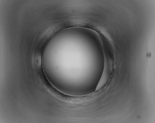 X0000091470021200708161408