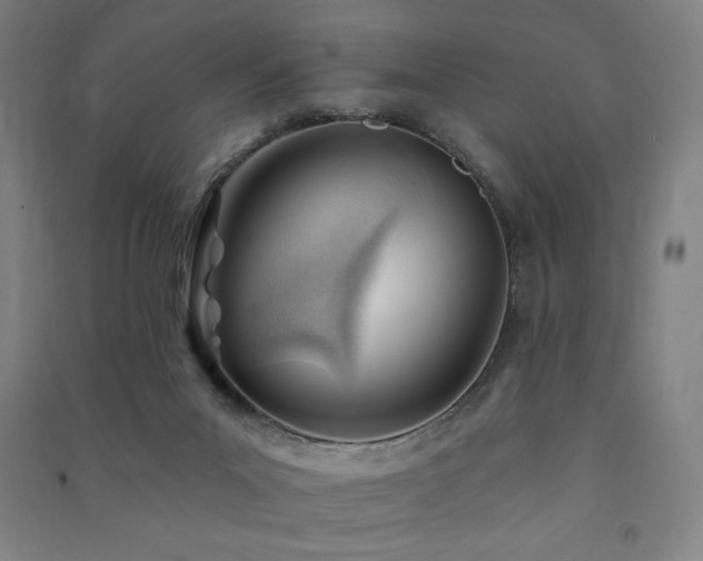 X0000091470023200708161408