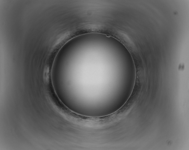 X0000091470024200708161408