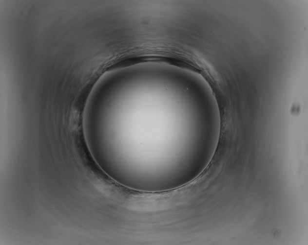 X0000091470025200708161408