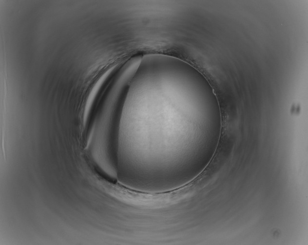 X0000091470027200708161408