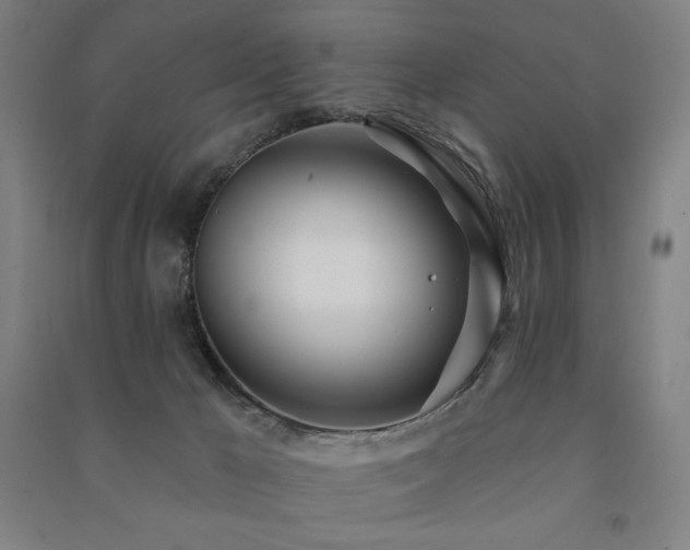 X0000091470029200708161408