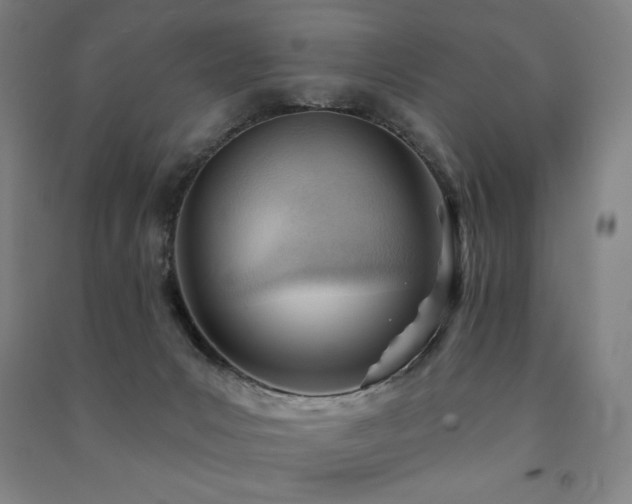 X0000091470031200708161408