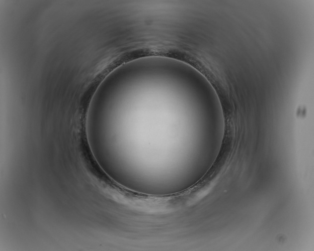 X0000091470032200708161408