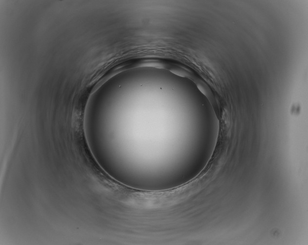 X0000091470033200708161408