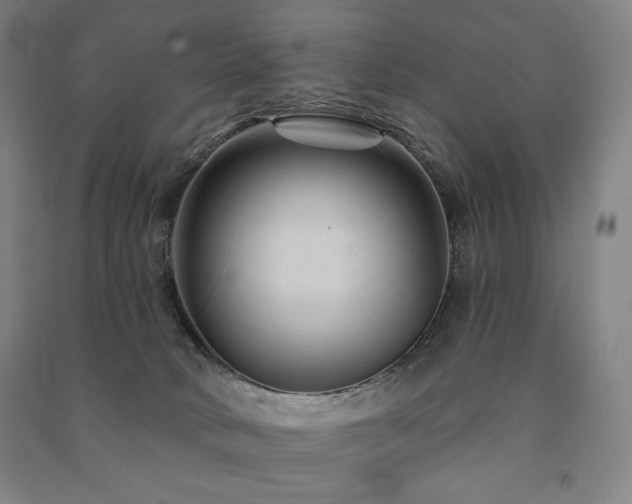 X0000091470034200708161408