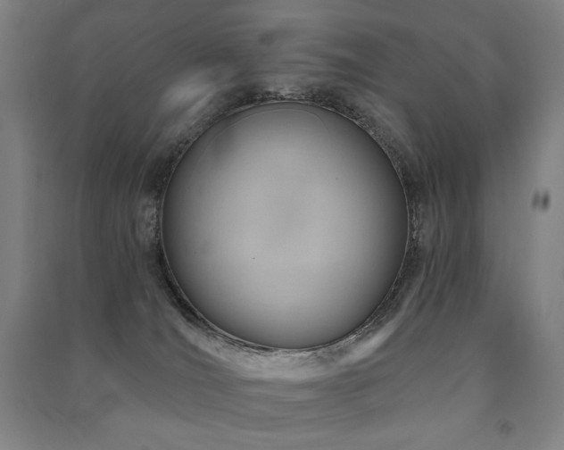 X0000091470036200708161407