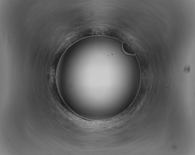 X0000091470038200708161407