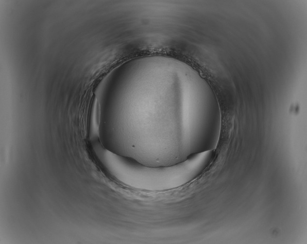 X0000091470039200708161407