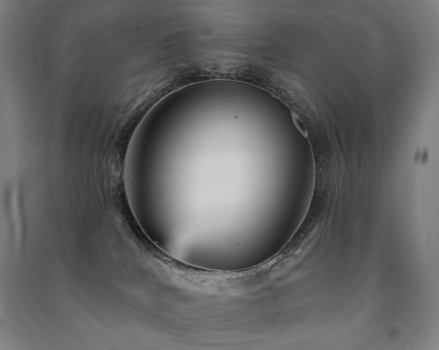 X0000091470040200708161407