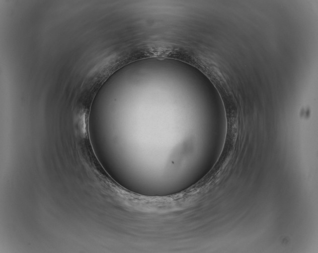 X0000091470042200708161407