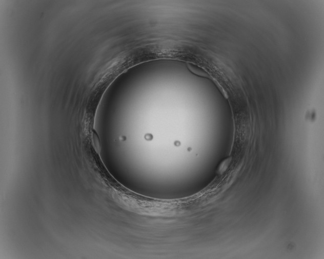 X0000091470044200708161407