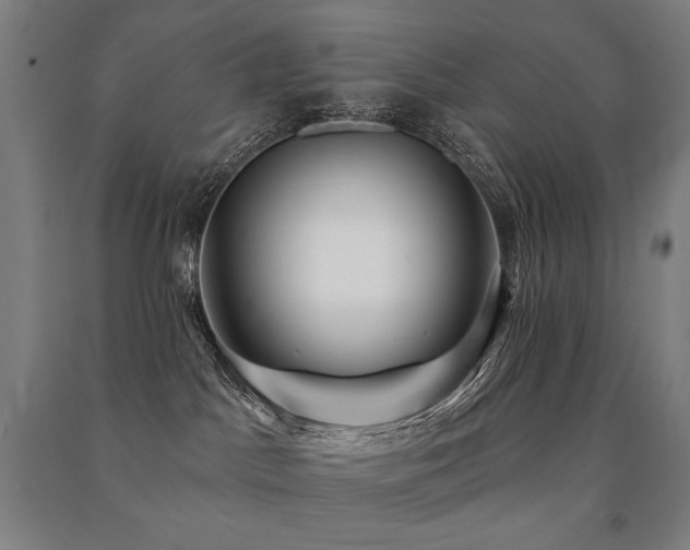 X0000091470045200708161407