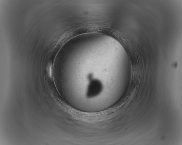 X0000091470046200708161407