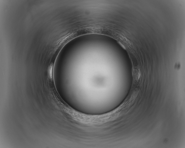 X0000091470047200708161407