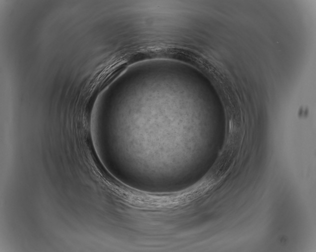 X0000091470048200708161407