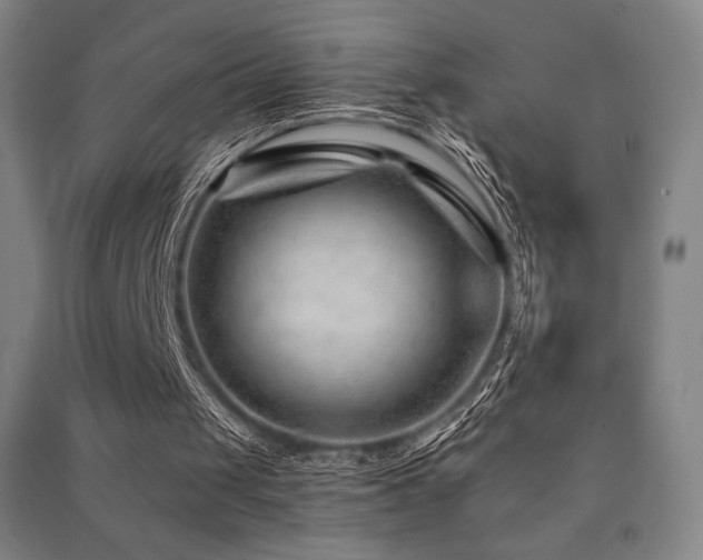 X0000091470049200708161407