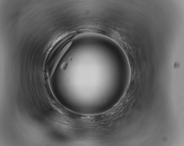 X0000091470050200708161407