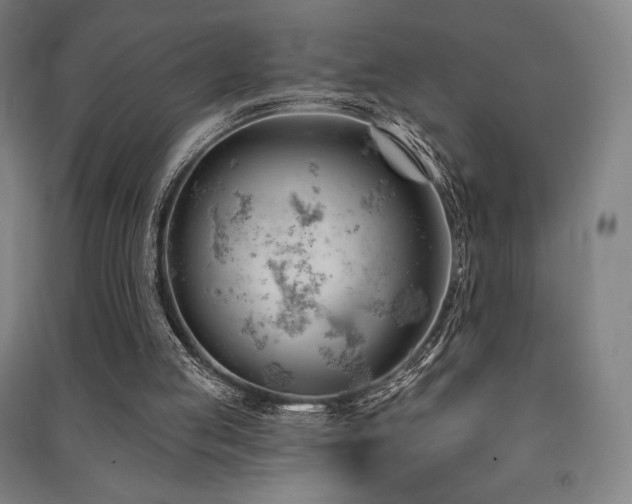 X0000091470053200708161407