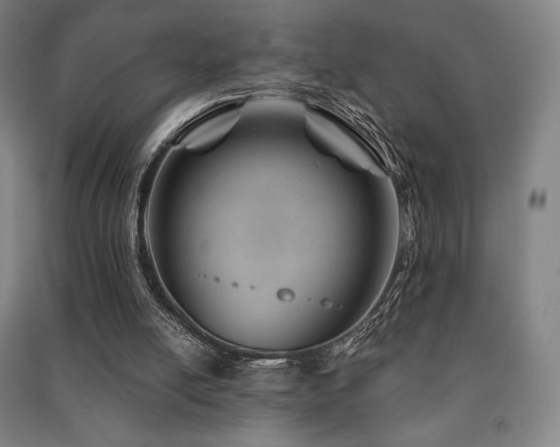 X0000091470054200708161407