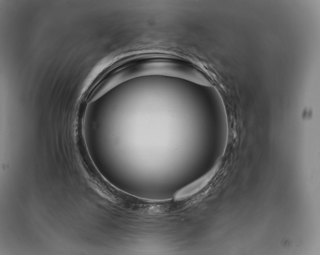 X0000091470056200708161407