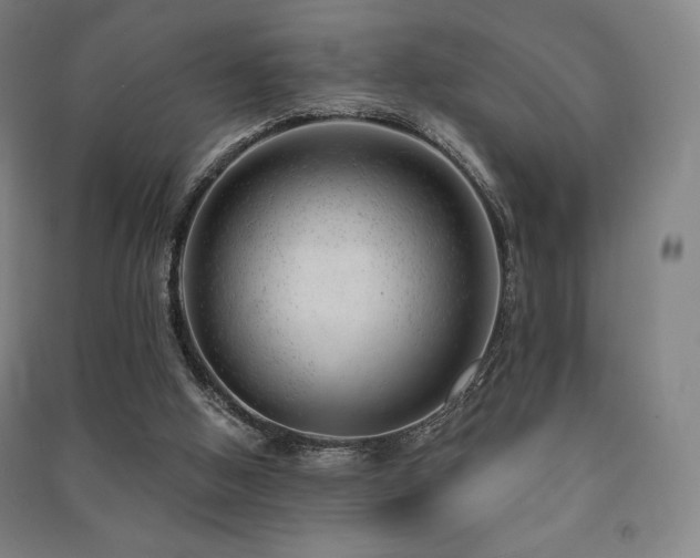 X0000091470058200708161407