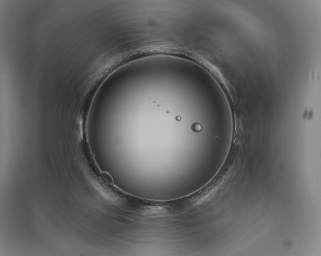 X0000091470061200708161407